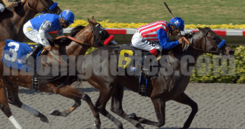 Del Mar Report #2 Fed Biz