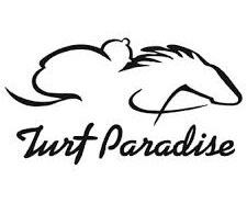 TUESDAY SPECIAL: Free Picks for Charles Town, Mountaineer, Sunland, and Turf Paradise untitled4