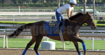 Free Wednesday Late Pick 4 Tickets 12/3/12 Game On Dude 1
