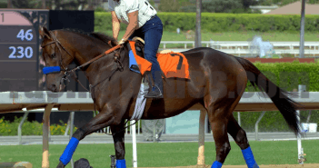 Free Wednesday Late Pick 4’s 12/17/14 Game On Dude
