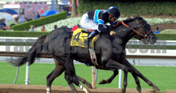 Friday 12/26/14 Best Bets and Value Plays Shared Belief