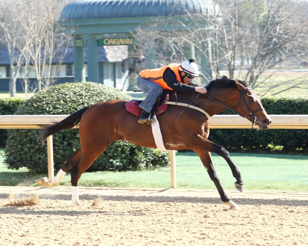Suddenbreakingnews - Coady Photography