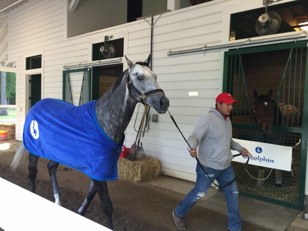 Frosted in Saratoga - May 20, 2016 - Photo: Michael Spector