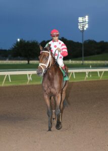 Unbridled Mo heading to the winners circle after the Remington Park Oaks
