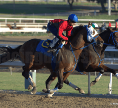 Woodward Stakes (Grade 1) Preview