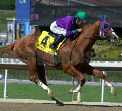 Another RACING DUDES EXCLUSIVE: Comments from each Horse Following the Preakness