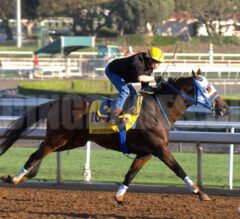 Whitney Stakes (Grade 1) Preview