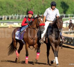 Post Race Reactions from Breeders’ Cup Winning HORSES