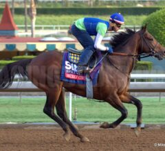 Revisting the Breeders’ Cup Story Lines