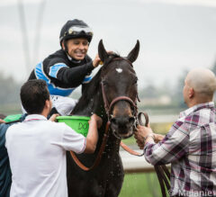 A Tribute to Shared Belief