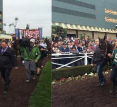 Shared Belief Defeats Horse Of The Year California Chrome