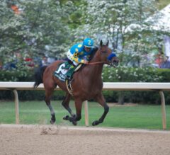 Belmont Stakes (Grade 1) Preview