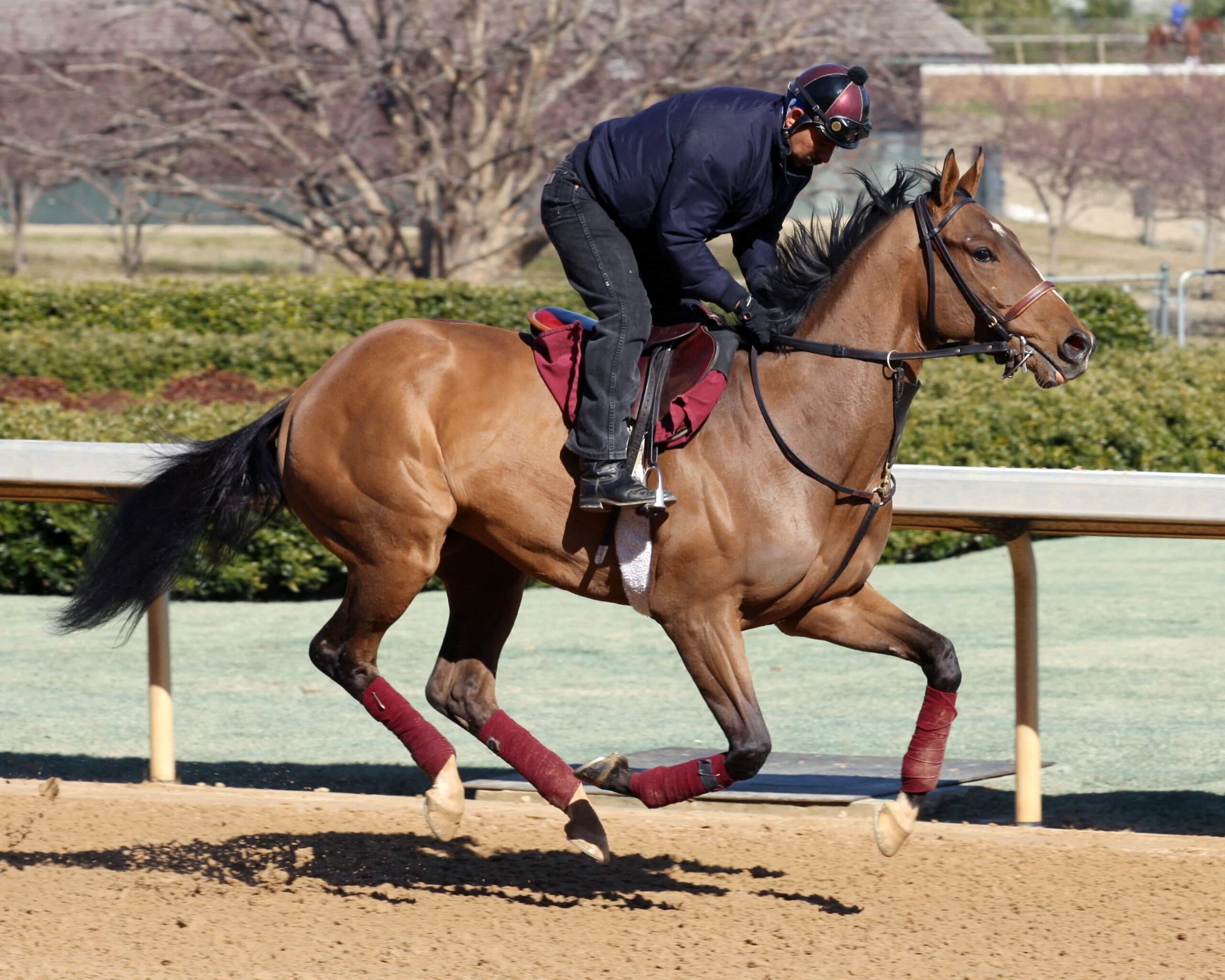 Iowa Horse Racing Iowa Festival of Racing Preview