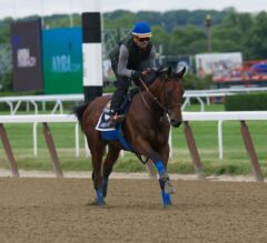 Travers Stakes (Grade 1) Preview