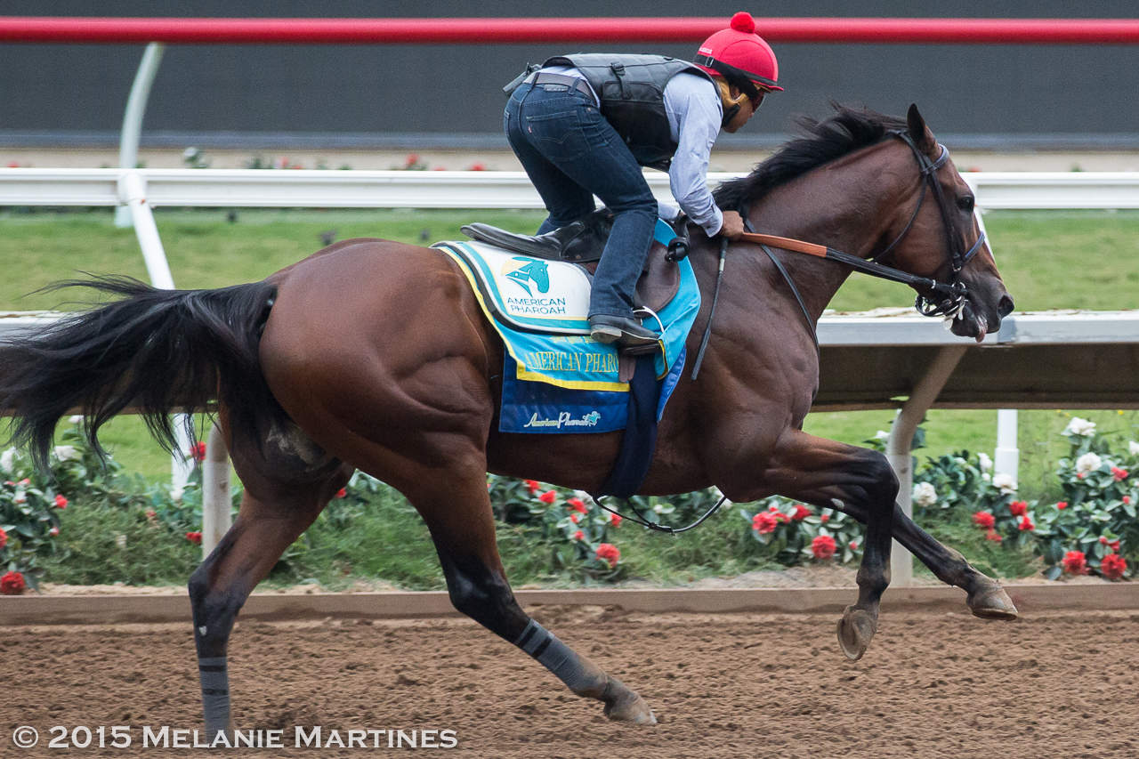 American Pharoah Travers Entries, Picks and Past Performances