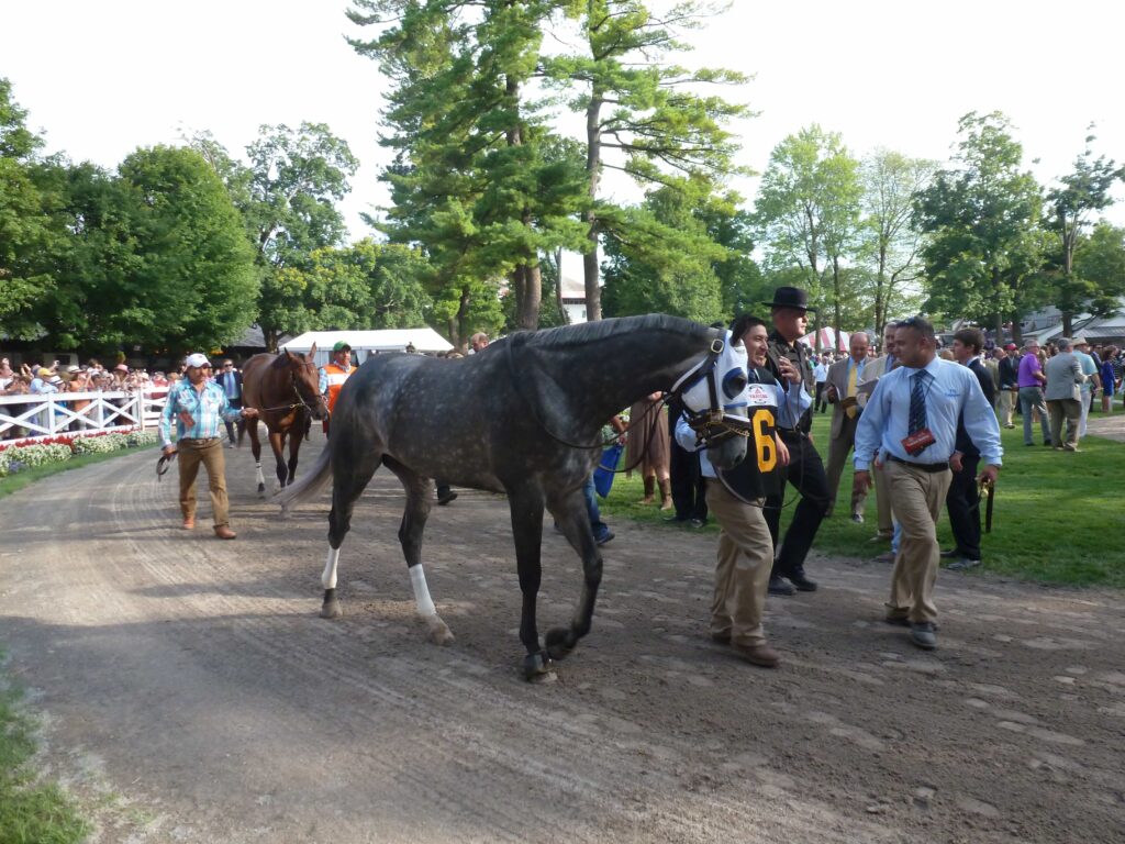 Frosted - TRAVERS STAKES (Grade I) - 08-29-15 - R11 - SAR - Photo credit: Mike Spector (Follow him on Twitter @SaratogaSlim)