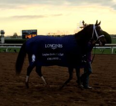Breeders’ Cup Friday Recap and Race Replays