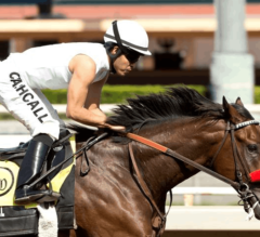 Unbeaten Nyquist Heads Individuals for Pool 1 of 2016 Kentucky Derby Future Wager