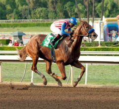 Breeders’ Cup 2016: It’s All About the Singles