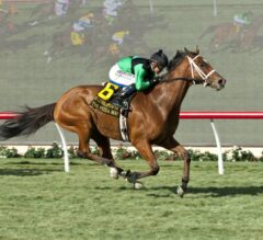 The Pizza Man Wins Hollywood Turf Cup