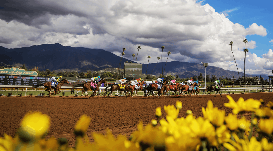 Top 5 Horse Tracks in America