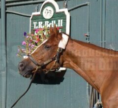 Wise Dan Trainer Charlie LoPresti Confirms He’s Been Retired