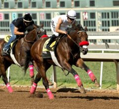 Santa Anita Stable Notes: Champion Nyquist Cruises in Work for Three-Year-Old Debut