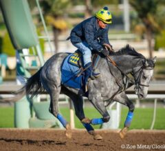 Santa Anita Stable Notes: El Kabeir ‘Sitting on Big Race’