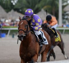 Undefeated Awesome Banner Faces Test in Saturday’s G2 Swale at Gulfstream Park