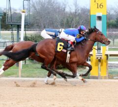 Fifth Season Stakes Preview: Oaklawn 2017 Has Arrived