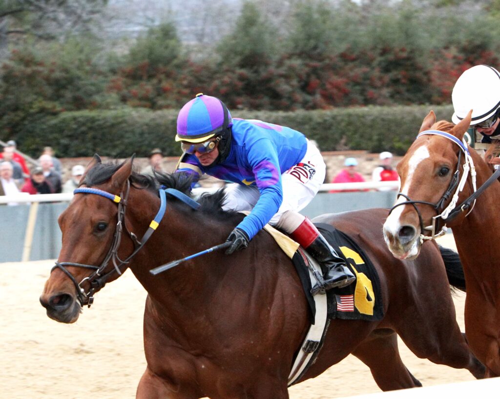 DISCREETNESS - The Smarty Jones - 9th Running - 01-18-16 - R08 - OP - Inside - Photo Credit: Coady Photography
