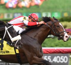 Competitive Field of Seven Set For $100,000 Kitten’s Joy at Gulfstream Park