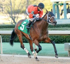 Marquee Miss Pulls Upset in Friday’s Dixie Belle Stakes at Oaklawn Park