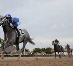 Gulfstream Park Notes: Undefeated 3-Year-Old Mohaymen Sizzles in Return to Work Tab