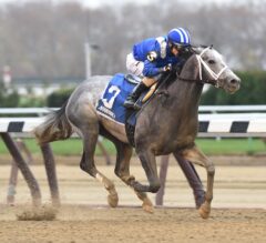 Mohaymen’s Return Adds Spark to Kentucky Derby Trail