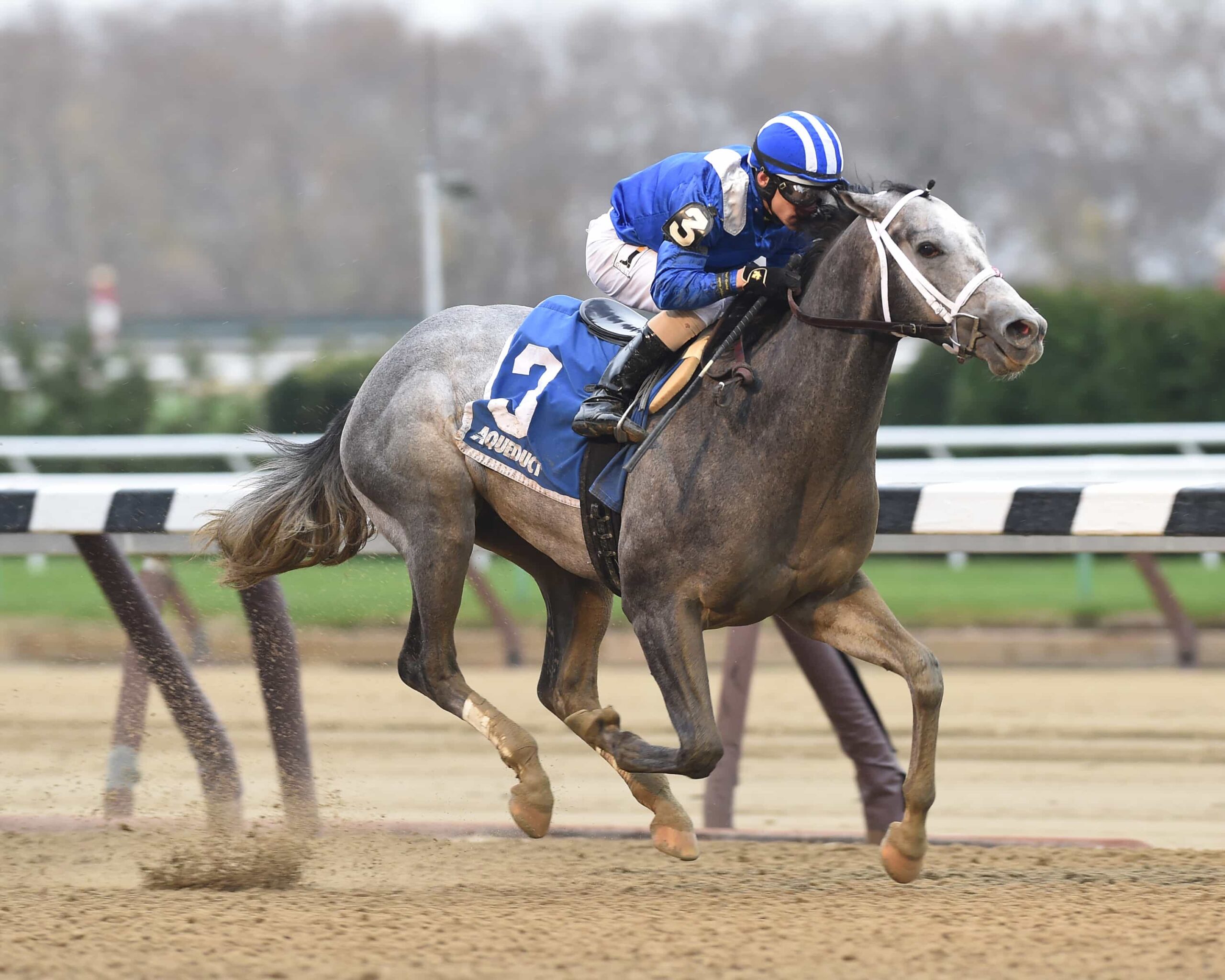 Racing Dudes Top 20 Kentucky Derby Rankings 1