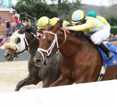 Oaklawn Park Barn Notes: Noble Bird on Target for Comeback Race