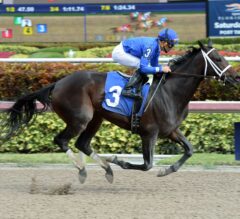 Godolphin Racing’s Penwith Returns from Layoff with Impressive Win at Gulfsteam Park