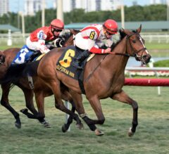 Pricedtoperfection Ridden to Perfection in Sweetest Chant at Gulfstream Park