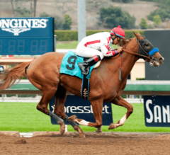 Heavily Favored Collected Wins G3 Sham Stakes, Earns 10 Kentucky Derby Points