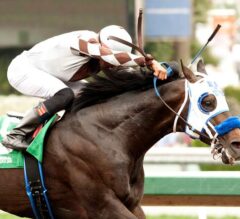 Distinctiv Passion Set to Defend Title in G3, $100,000 Midnight Lute Stakes
