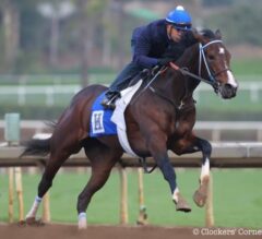 Santa Anita Stable Notes: Songbird Drill ‘Just What We Wanted’