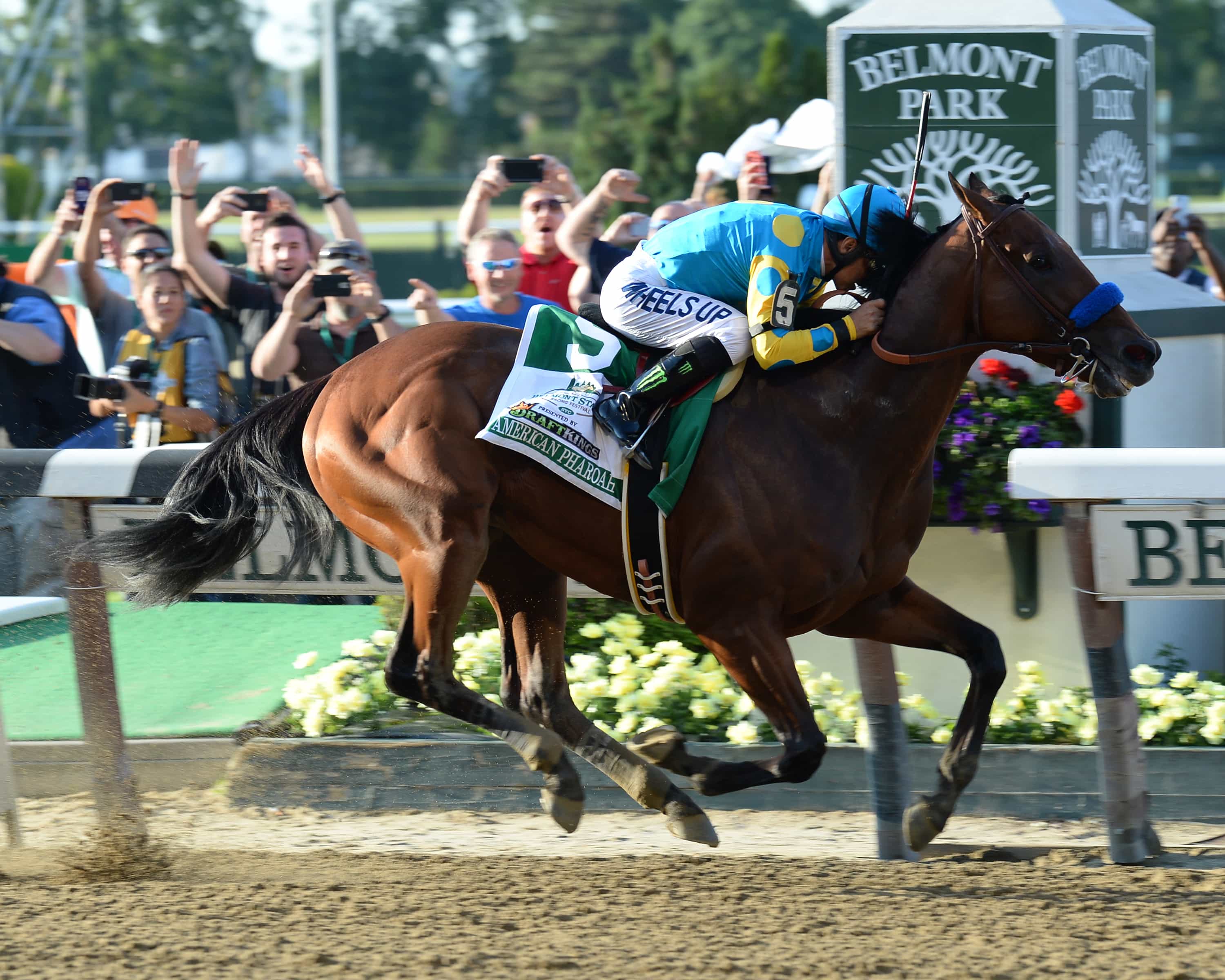 2015 Pursuit of a Personal Triple Crown Thoroughbred Racing Dudes