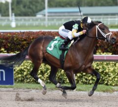 Battery Powers to Victory in Gulfstream Feature on Wednesday