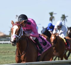 Catch a Glimpse Returns A Winner In G3 Herecomesthebride at Gulfstream