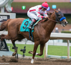 Baffert’s Collected Favored in G3 Southwest Stakes Monday at Oaklawn Park