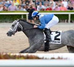 Mohaymen, Nyquist Bring Star Quality to G1 Florida Derby Nominations