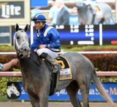 Mohaymen ‘Perfect’ Following Fountain of Youth, Cathryn Sophia ‘Awesome’ after Davona Dale