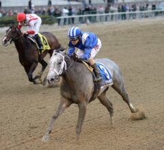 Undefeated Mohaymen, Nyquist Top G2 Fountain of Youth Nominations