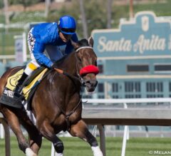 Santa Anita Stable Notes: Rail No Issue for Nyquist, Calculator Returns